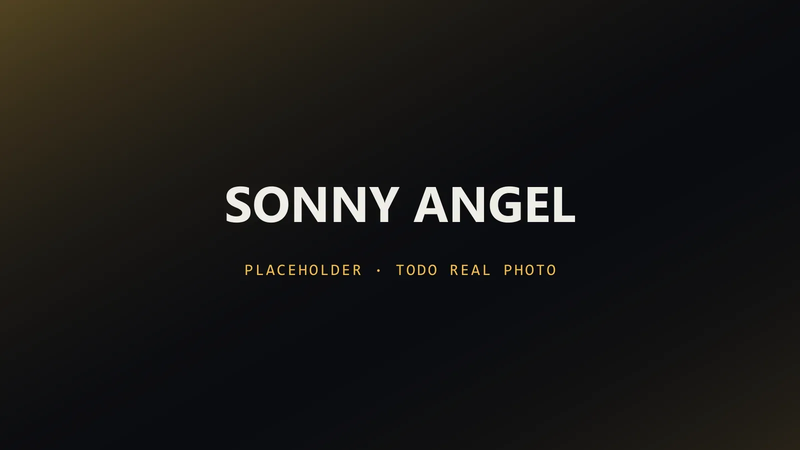 Sonny Angel หลายซีรีส์วางเรียงกัน